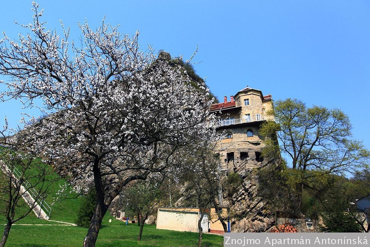 Apartman Antoninska Znojmo Bagian luar foto