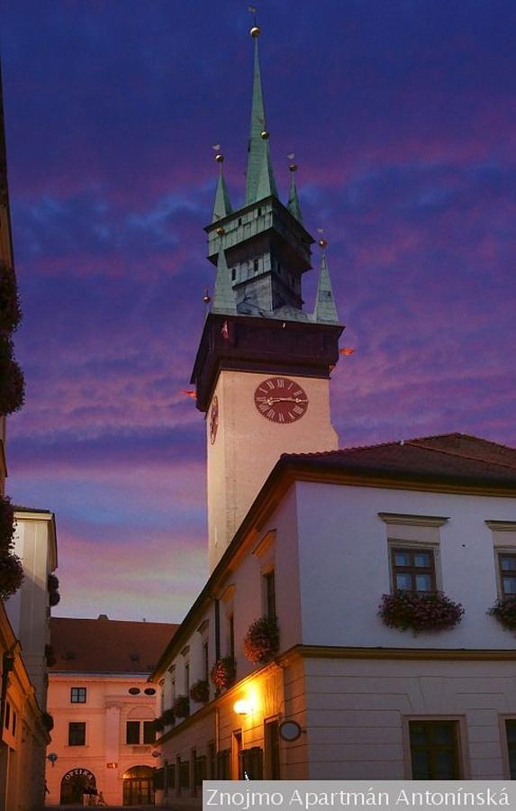 Apartman Antoninska Znojmo Bagian luar foto